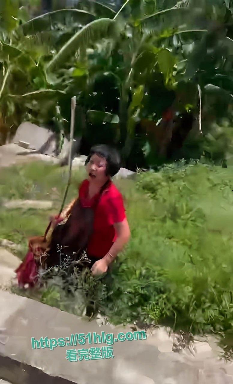 七旬老太路边险遭肥宅男强奸 行凶时被路人发现当场制服 变态行径引发公愤 现场视频独家曝光-5